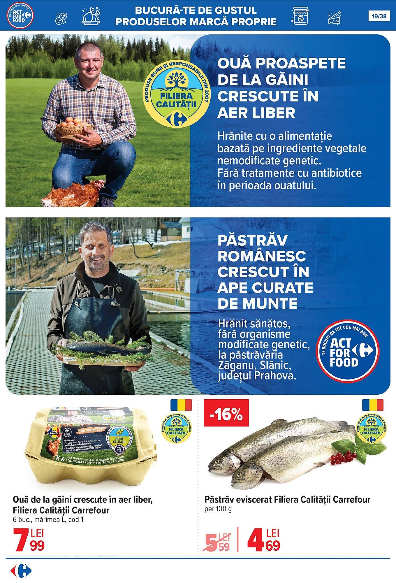 Catalog Carrefour