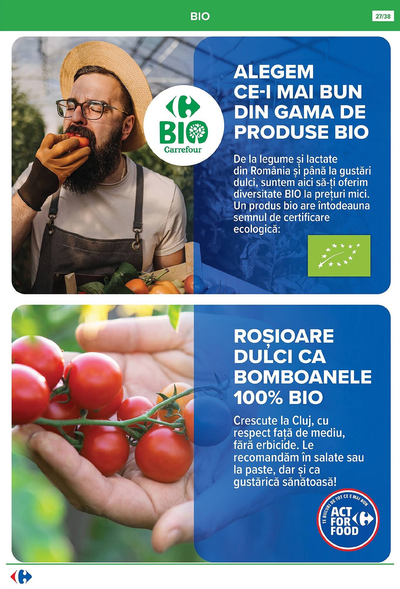 Catalog Carrefour