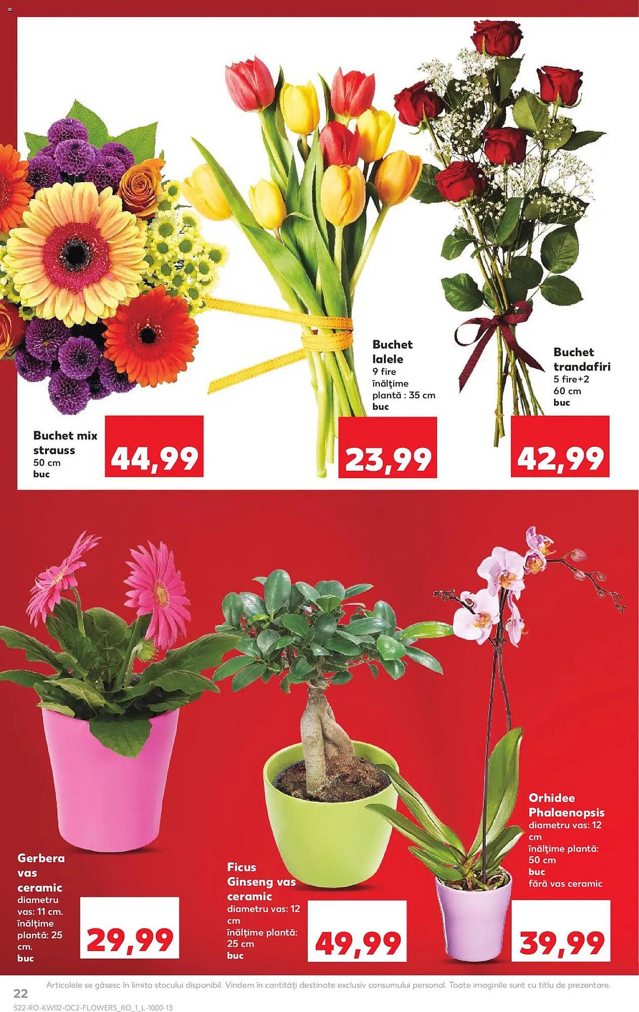 Catalog Kaufland