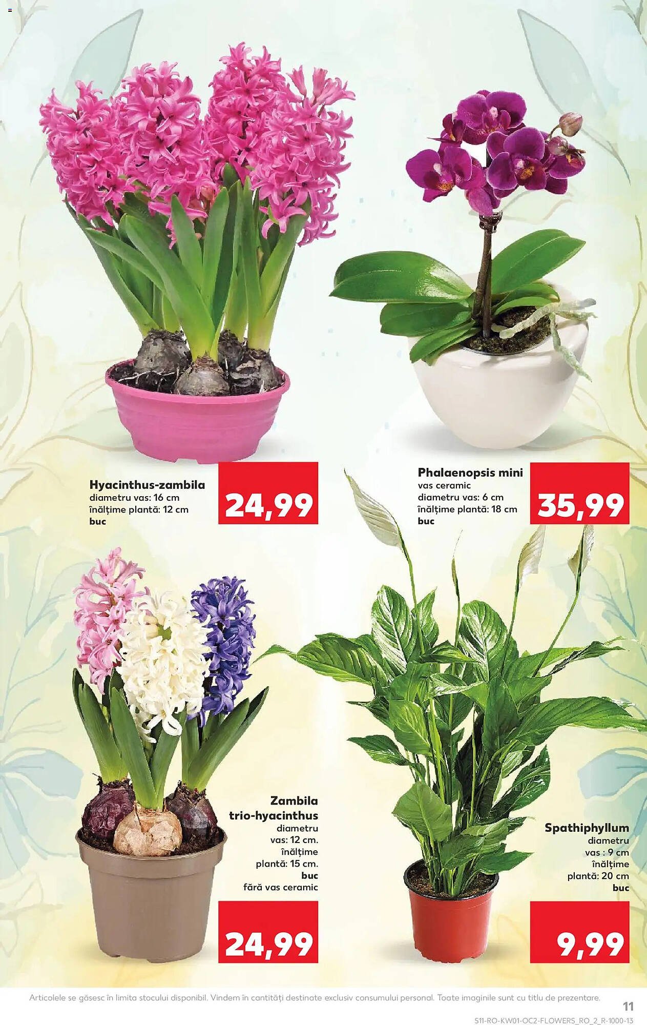 Catalog Kaufland
