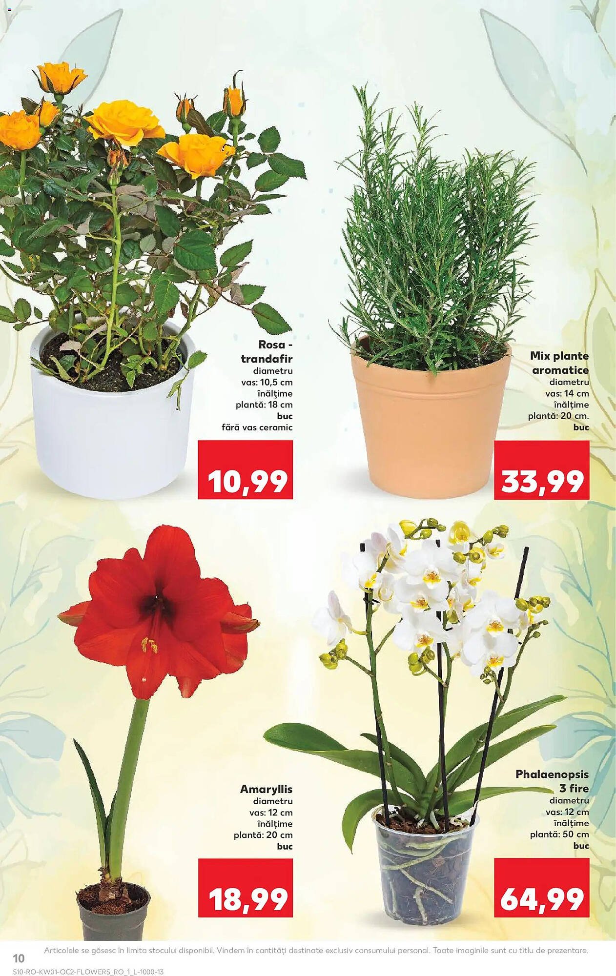 Catalog Kaufland