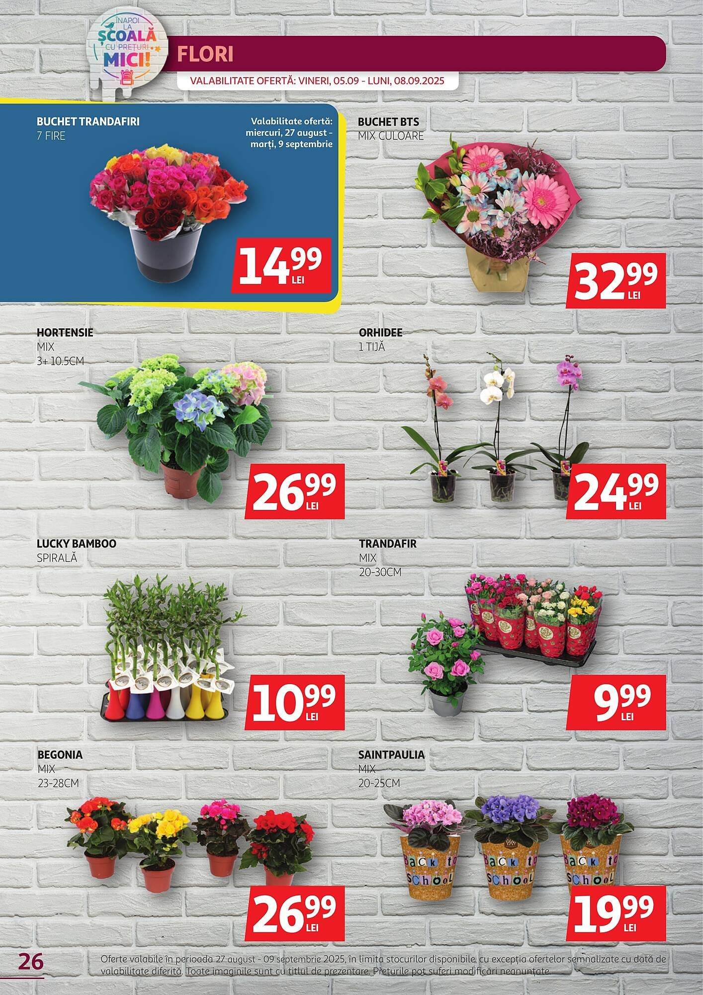 Catalog Auchan