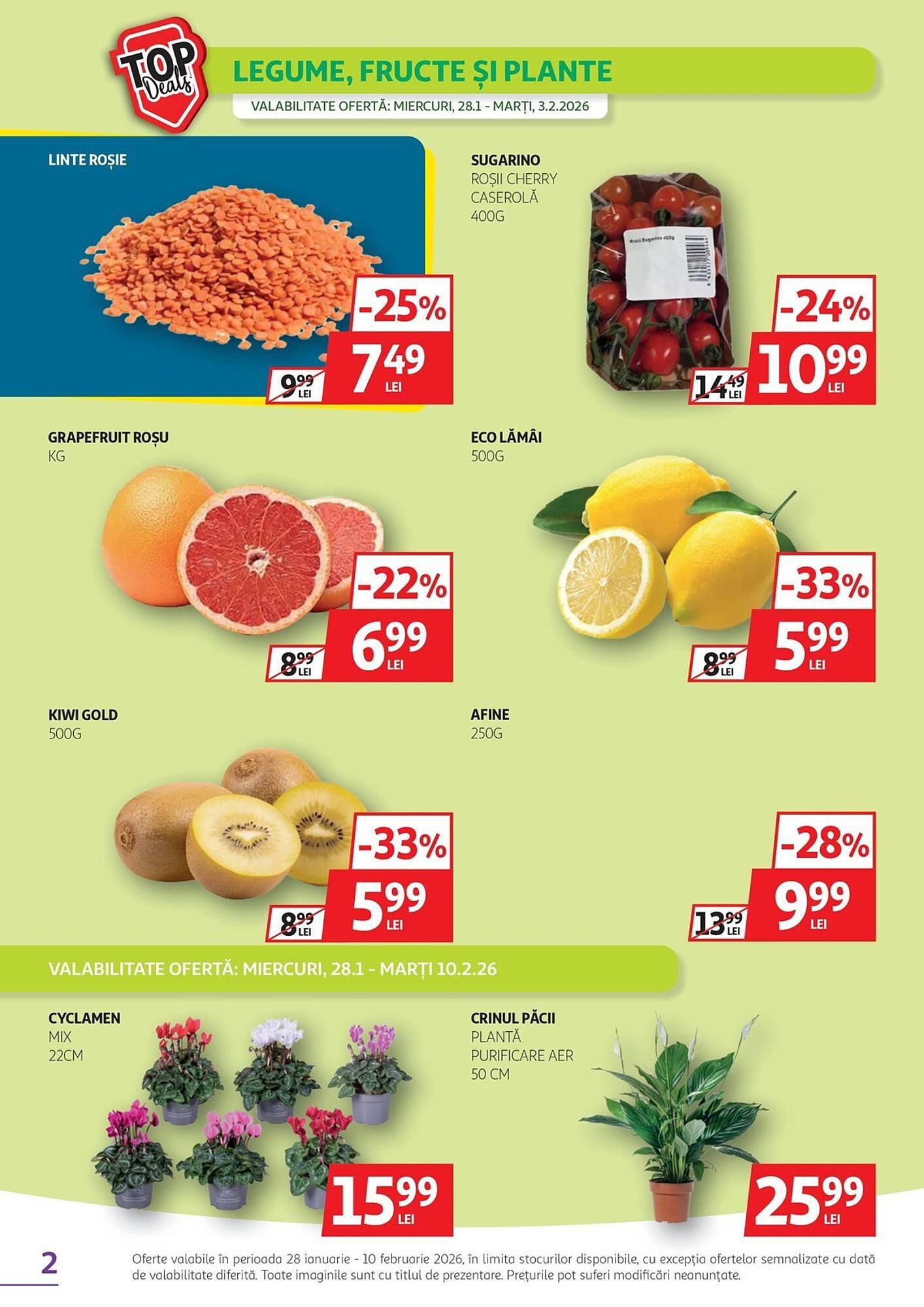 Catalog Auchan