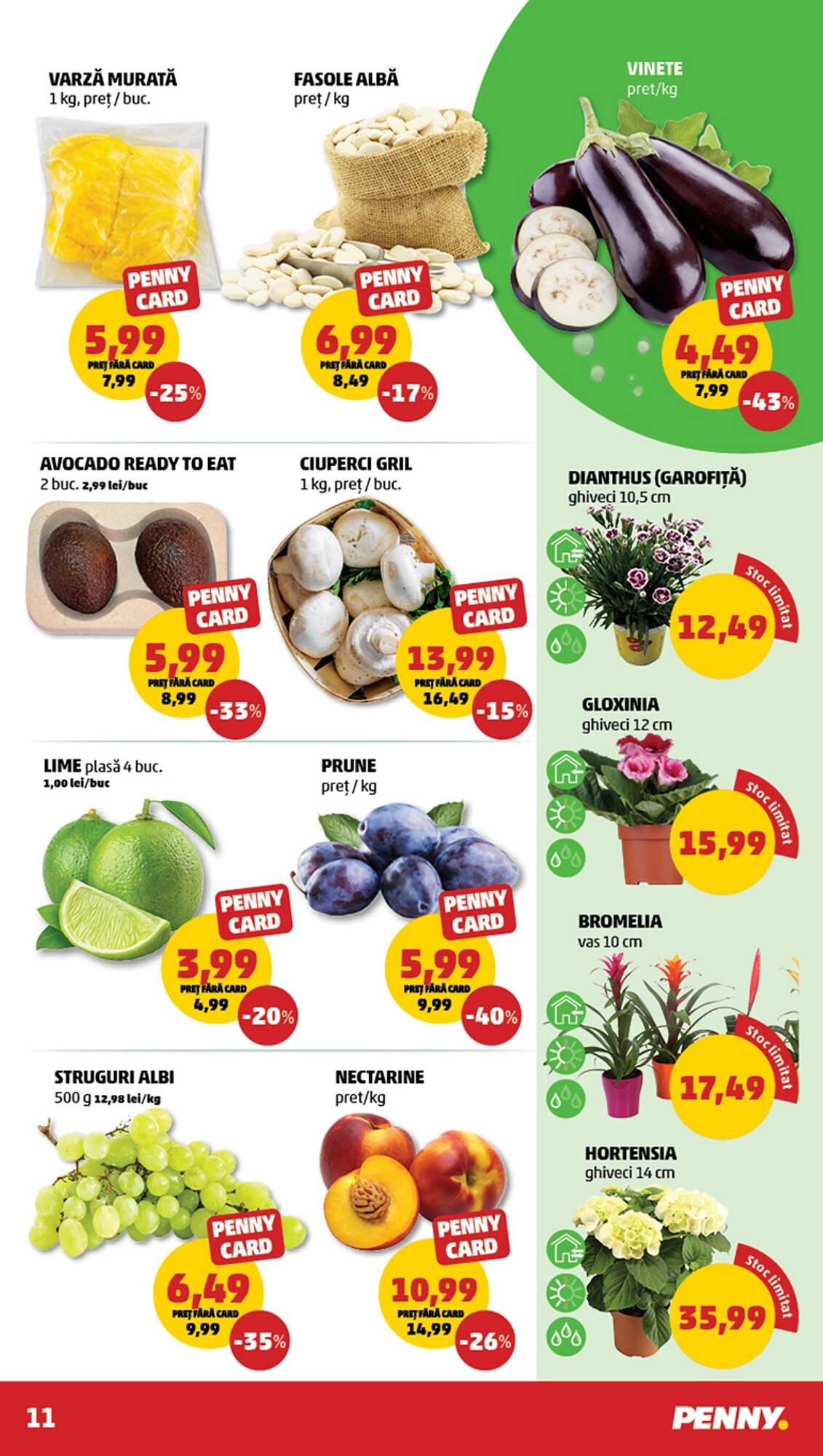 Catalog Penny