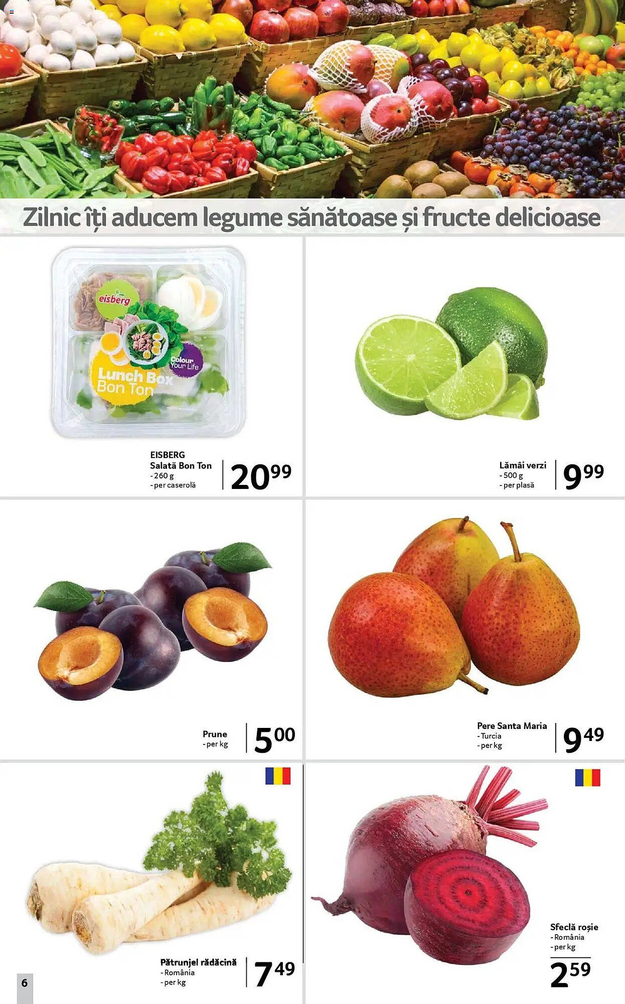 Catalog Selgros
