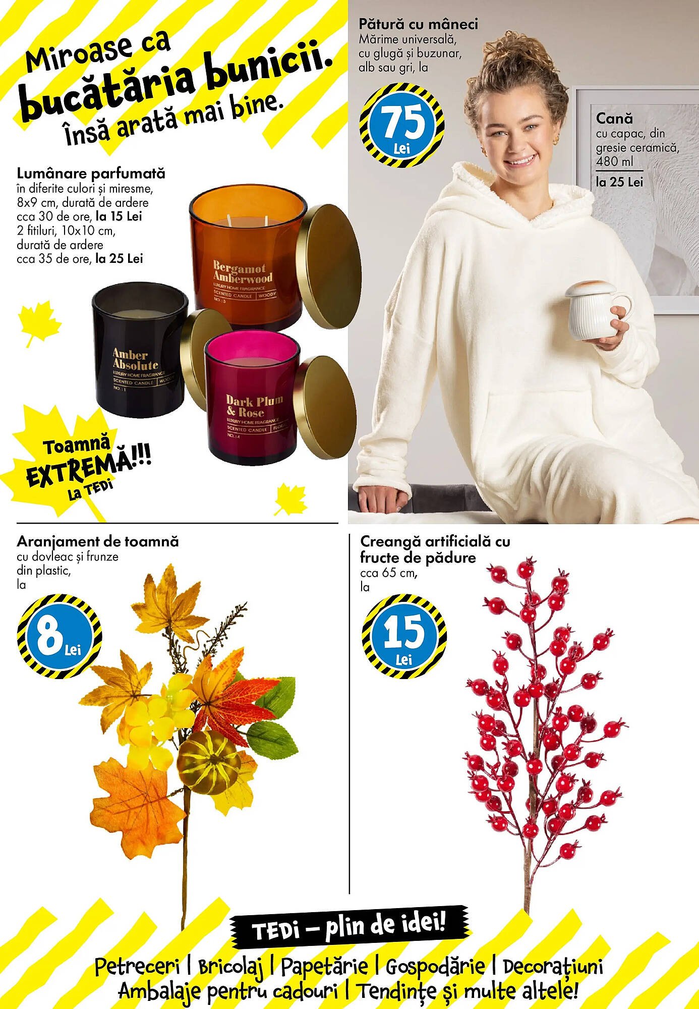 Catalog TEDI