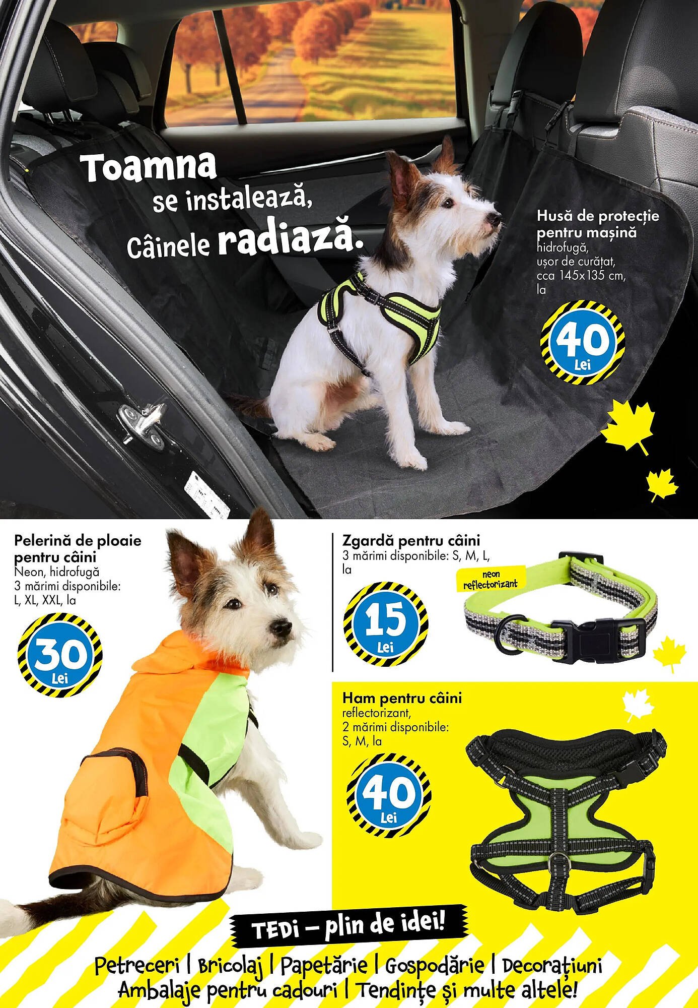 Catalog TEDI