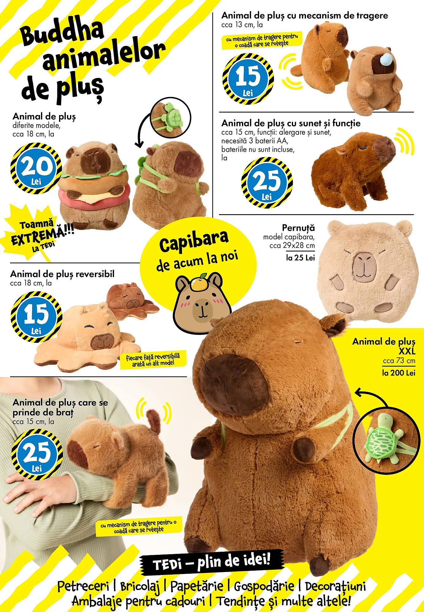 Catalog TEDI
