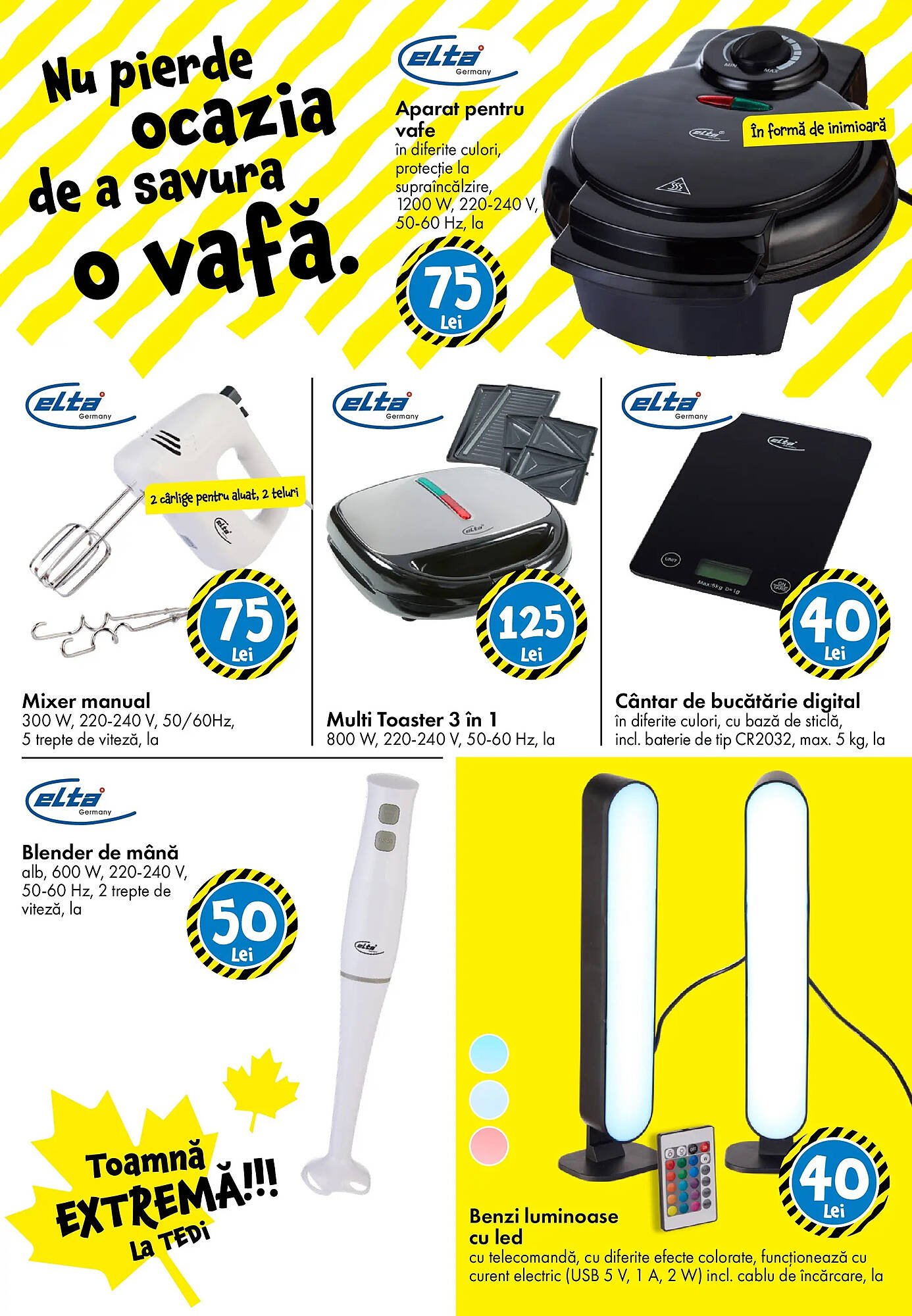 Catalog TEDI