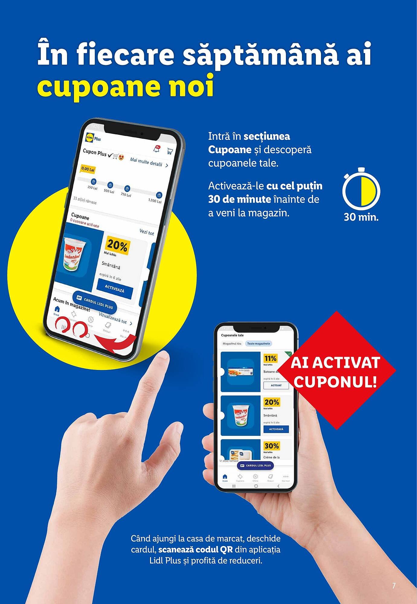 Catalog Lidl