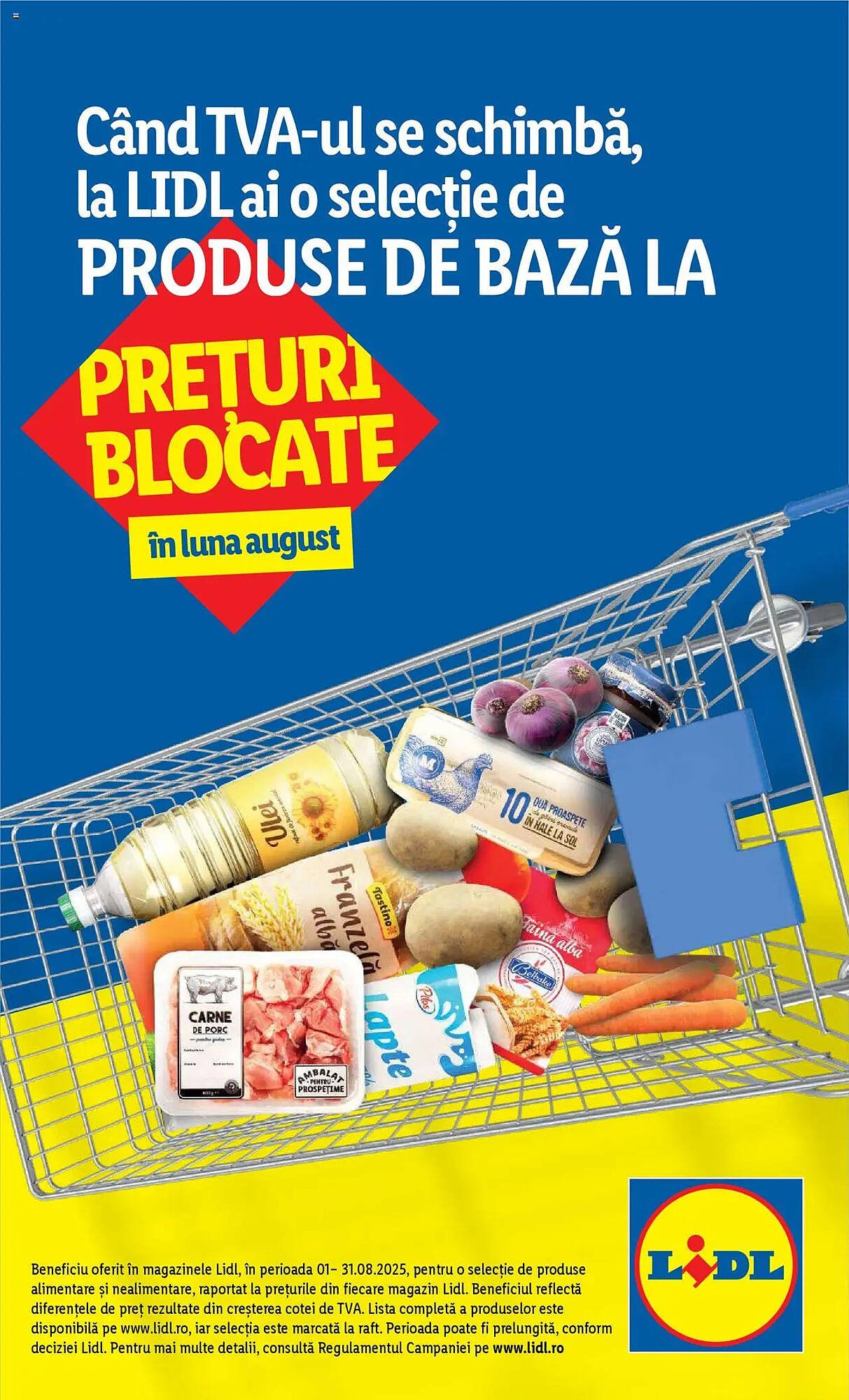 Catalog Lidl
