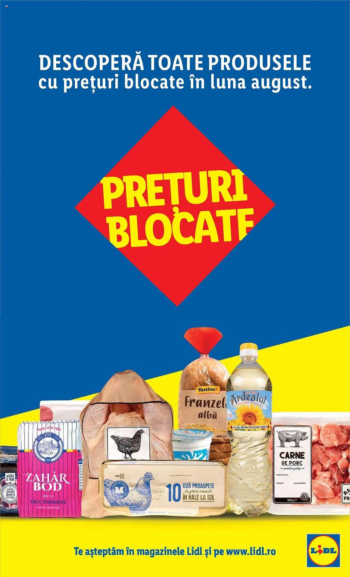 Catalog Lidl