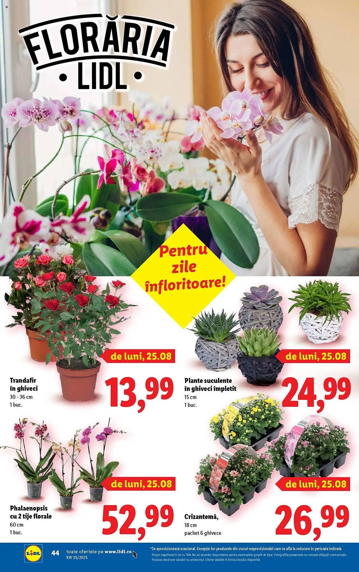 Catalog Lidl