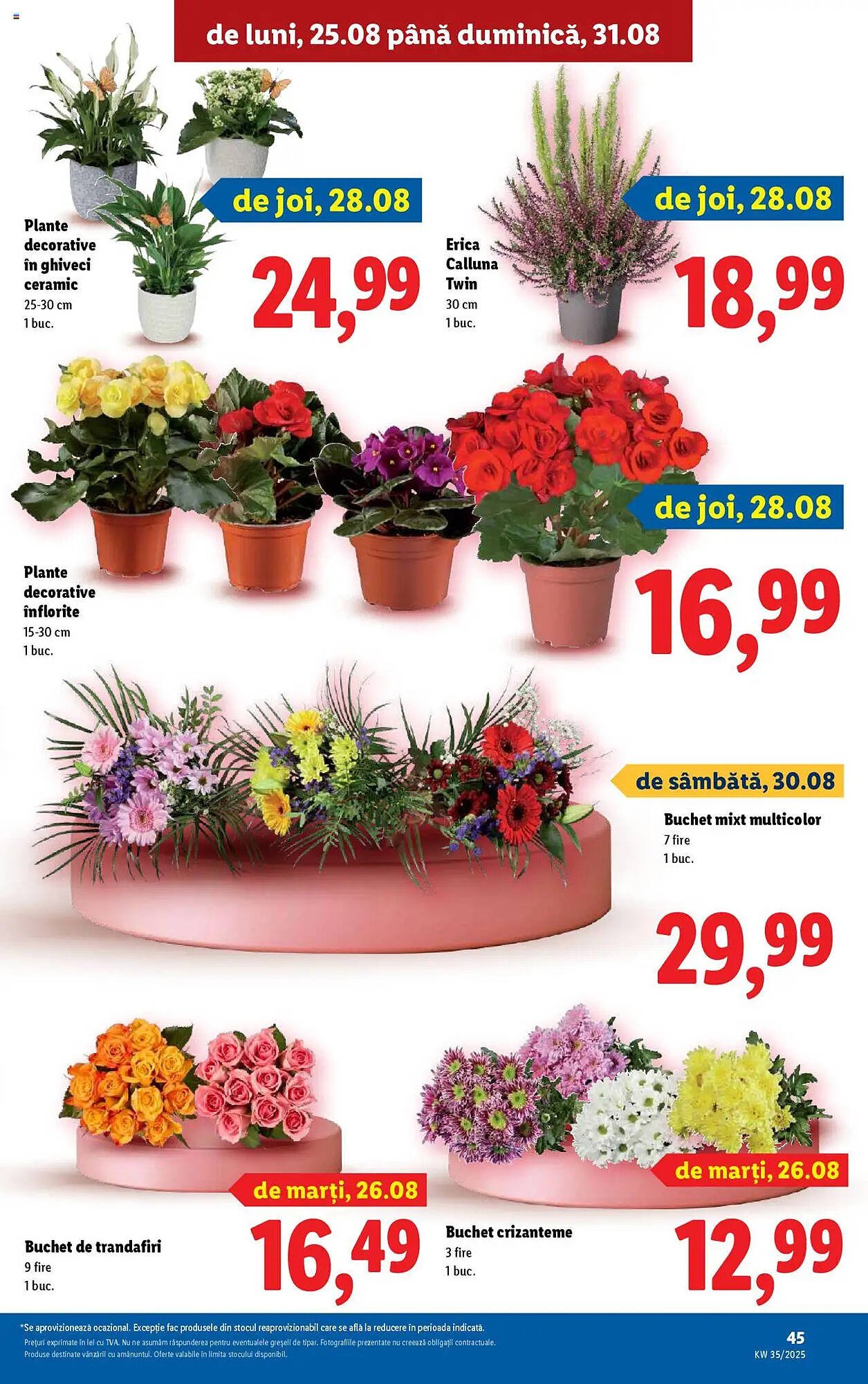 Catalog Lidl