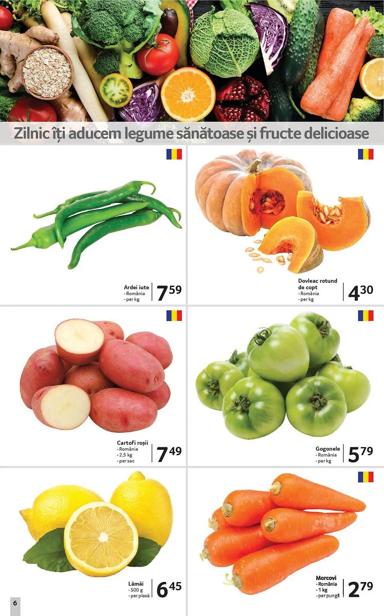 Catalog Selgros