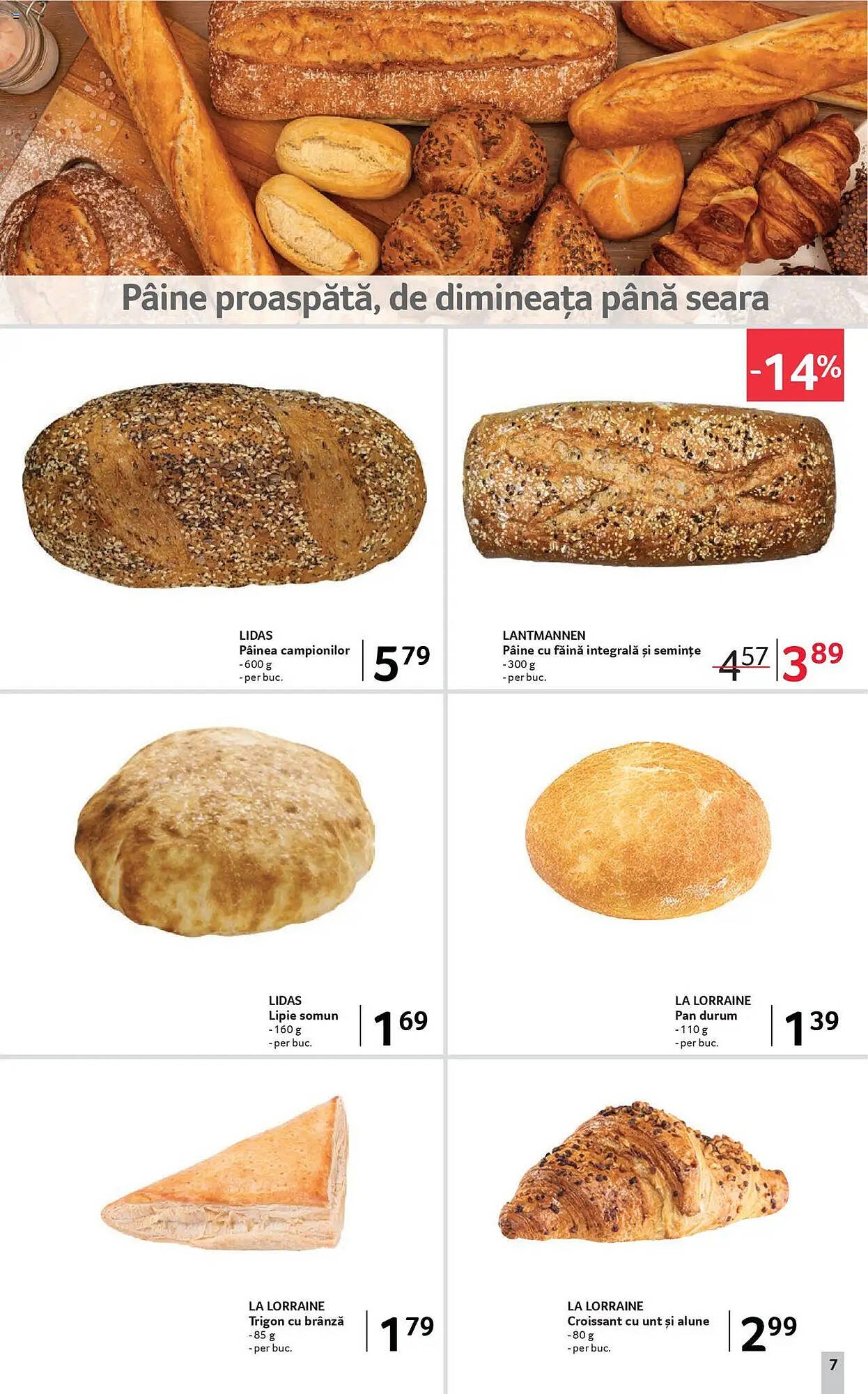 Catalog Selgros