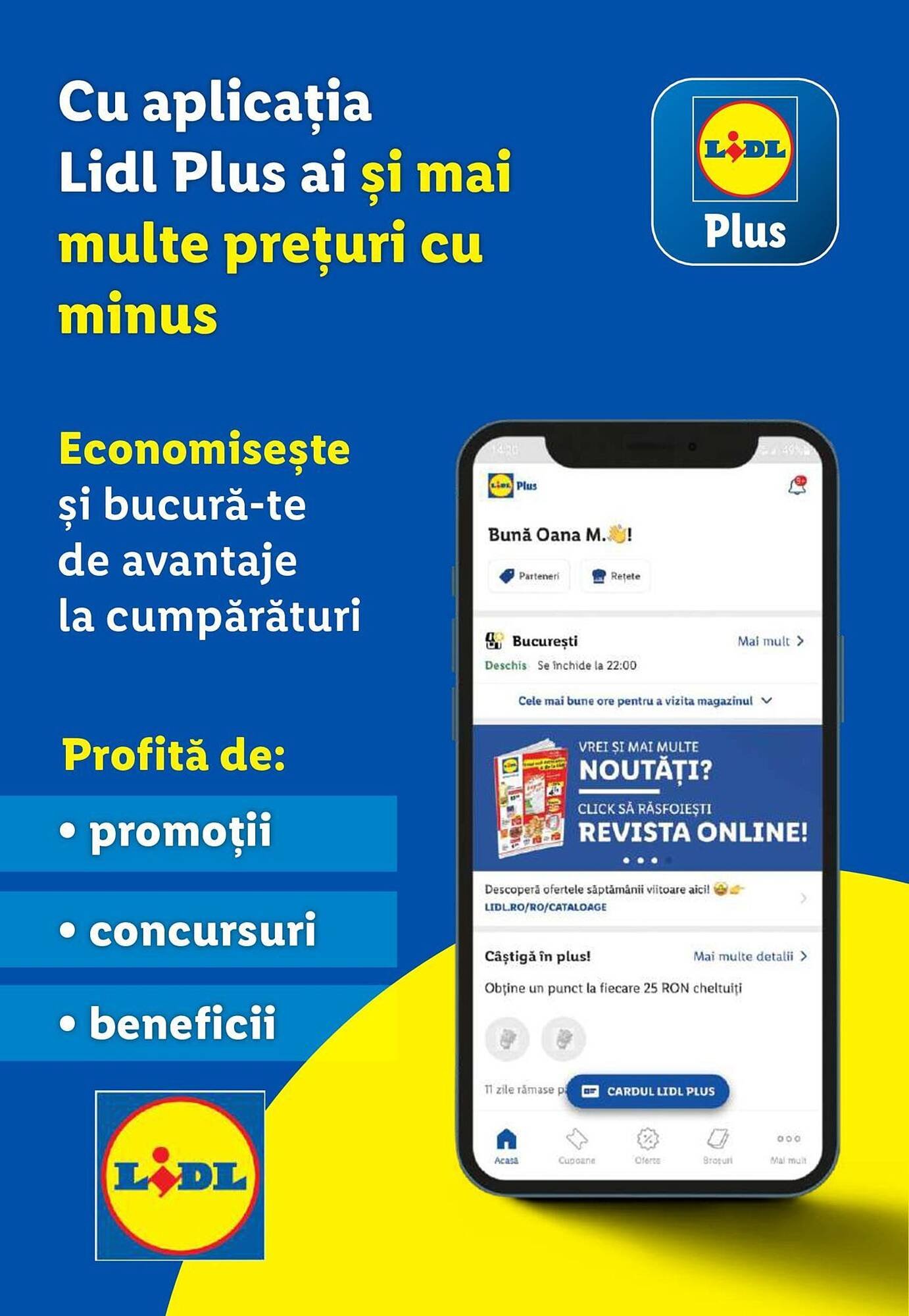Catalog Lidl
