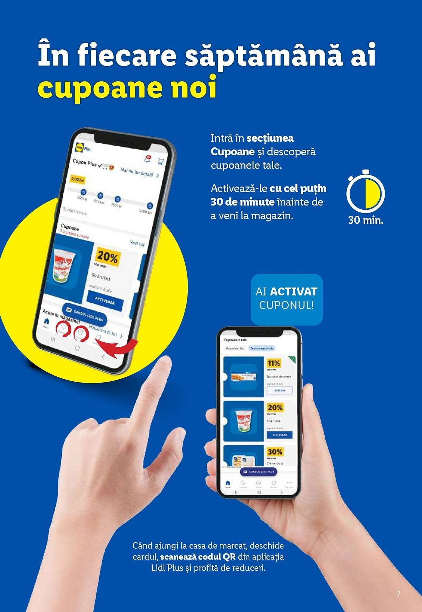 Catalog Lidl