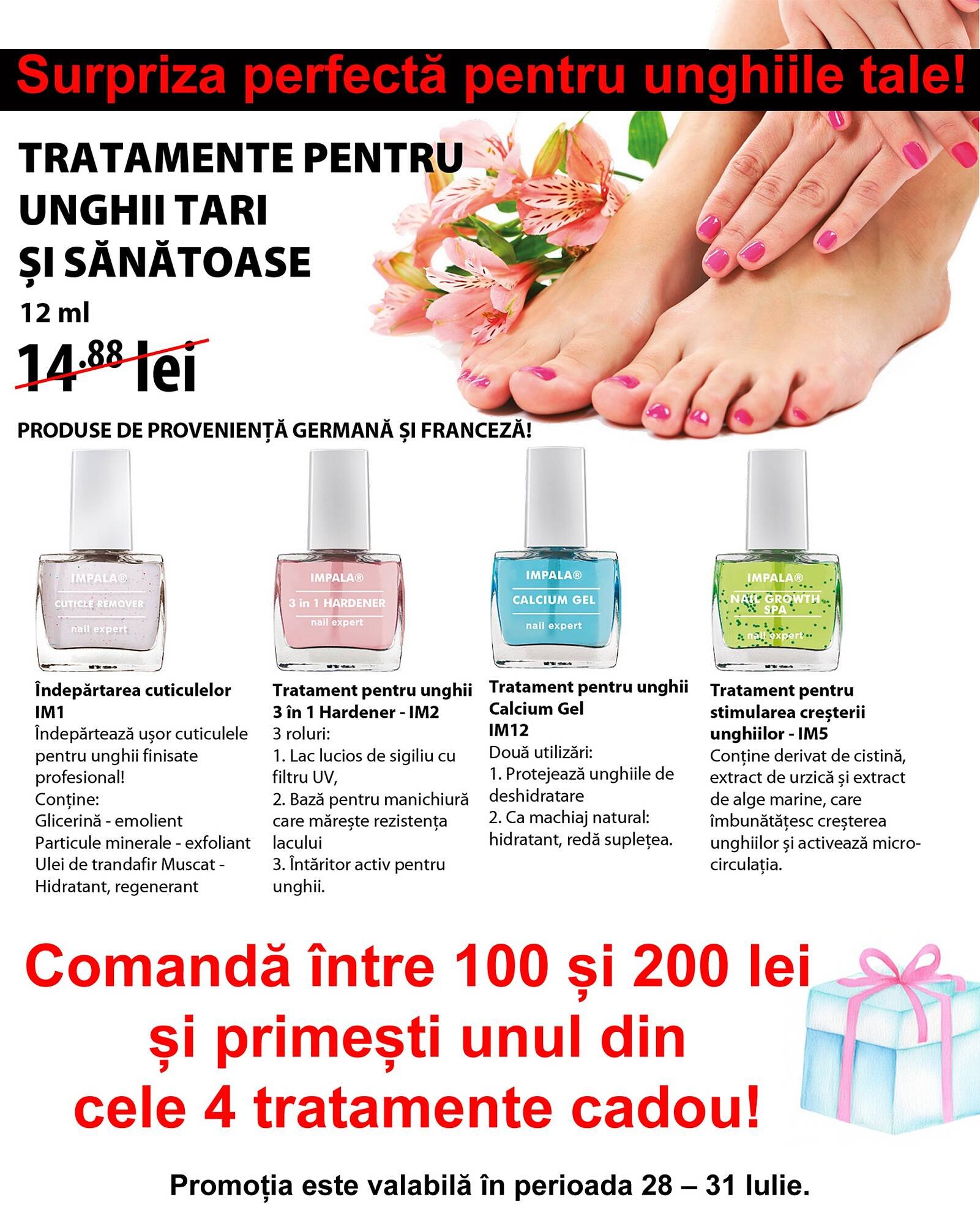Catalog Lady’s