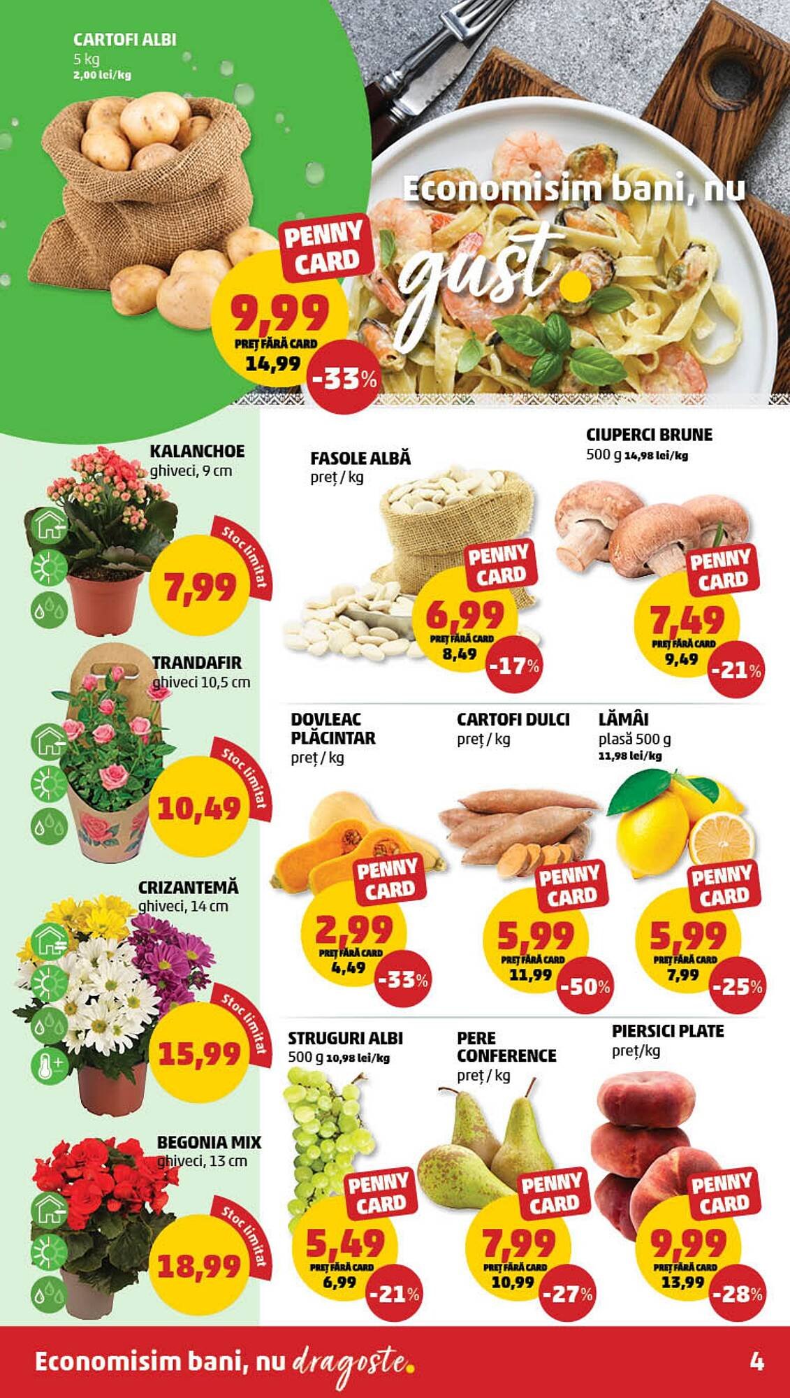 Catalog Penny