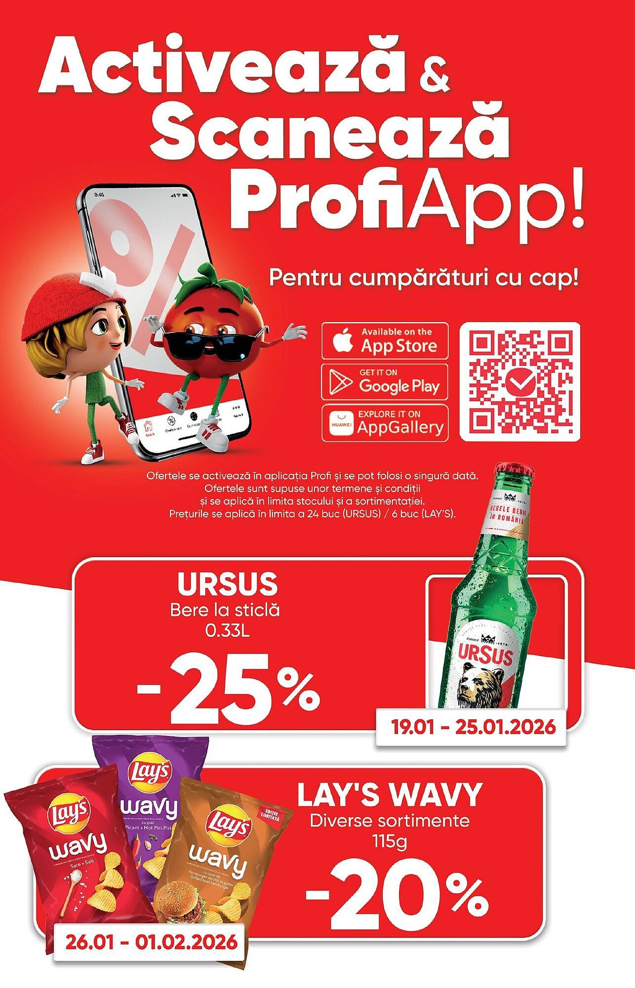 Catalog PROFI