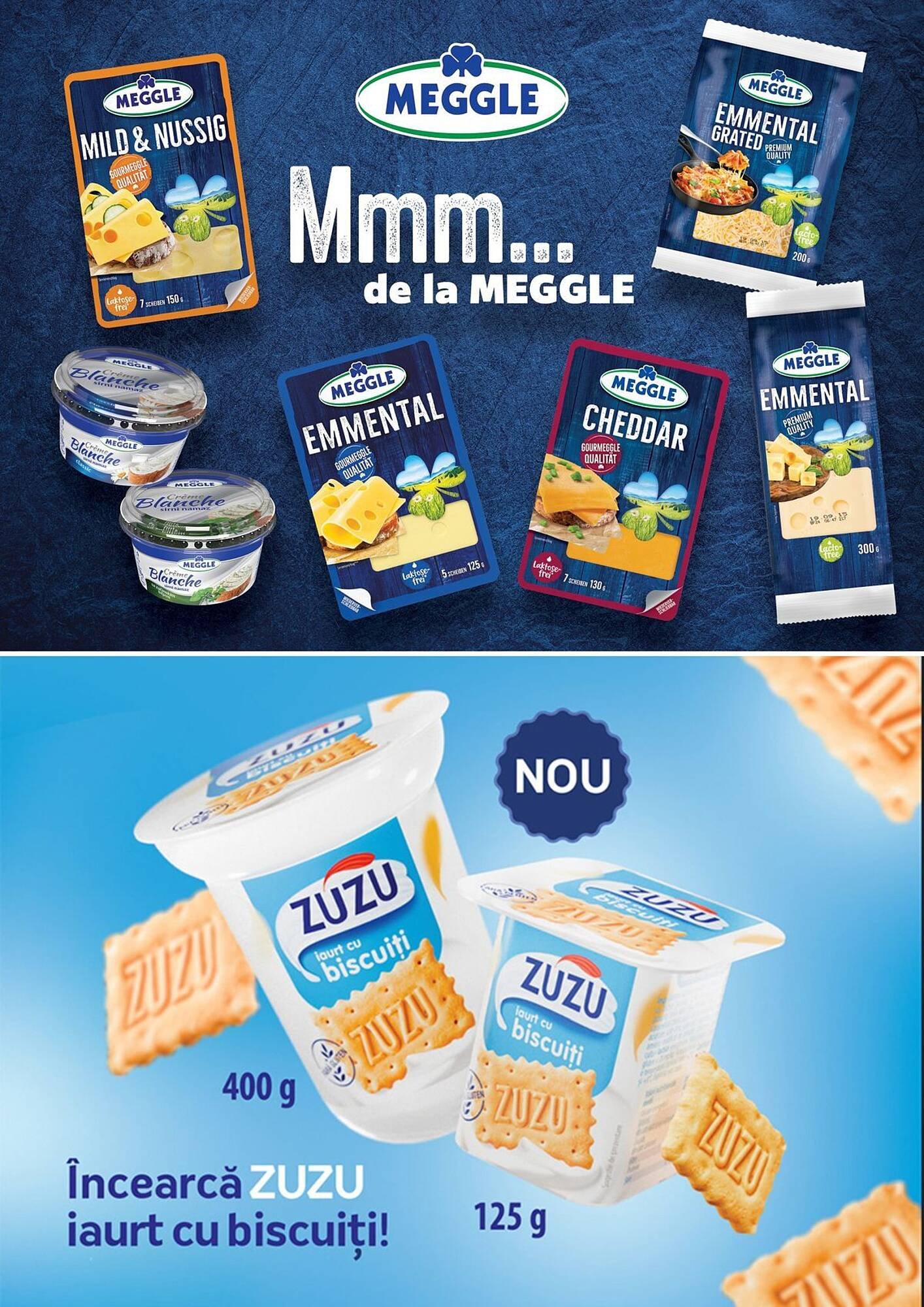 Catalog Auchan