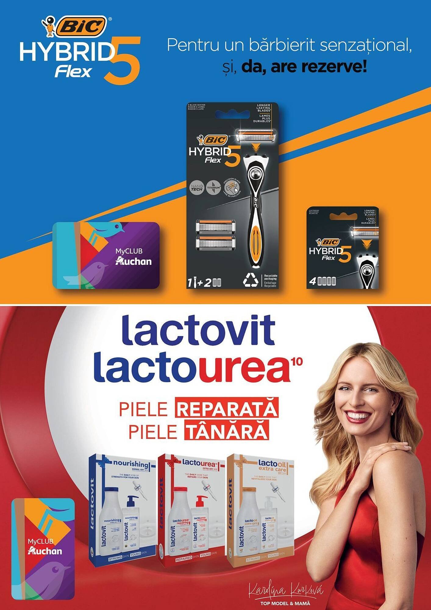 Catalog Auchan