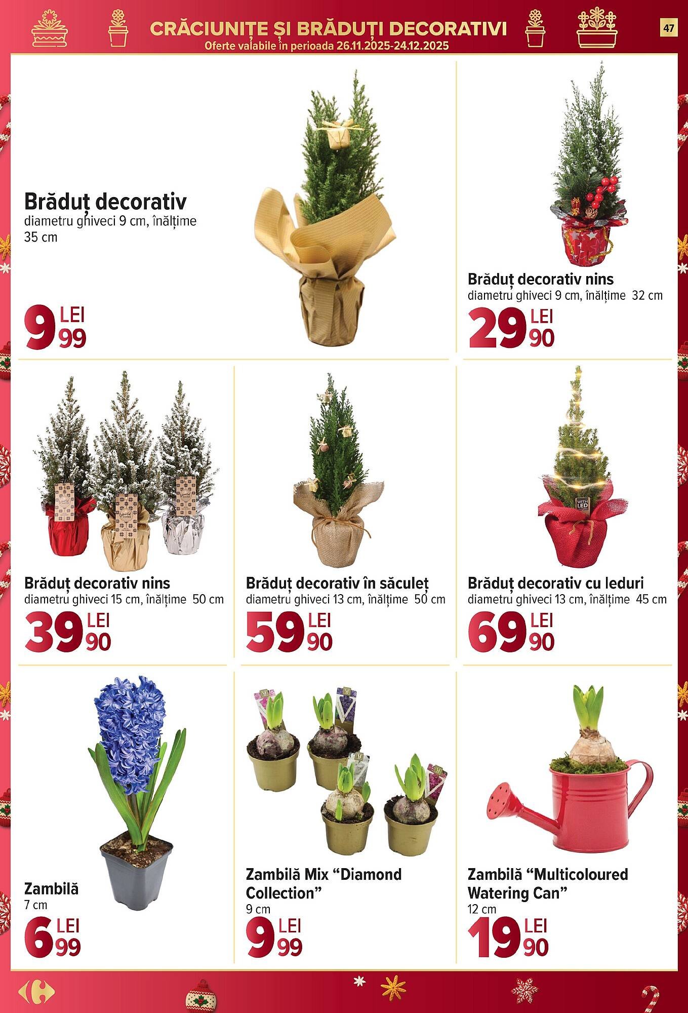 Catalog Carrefour