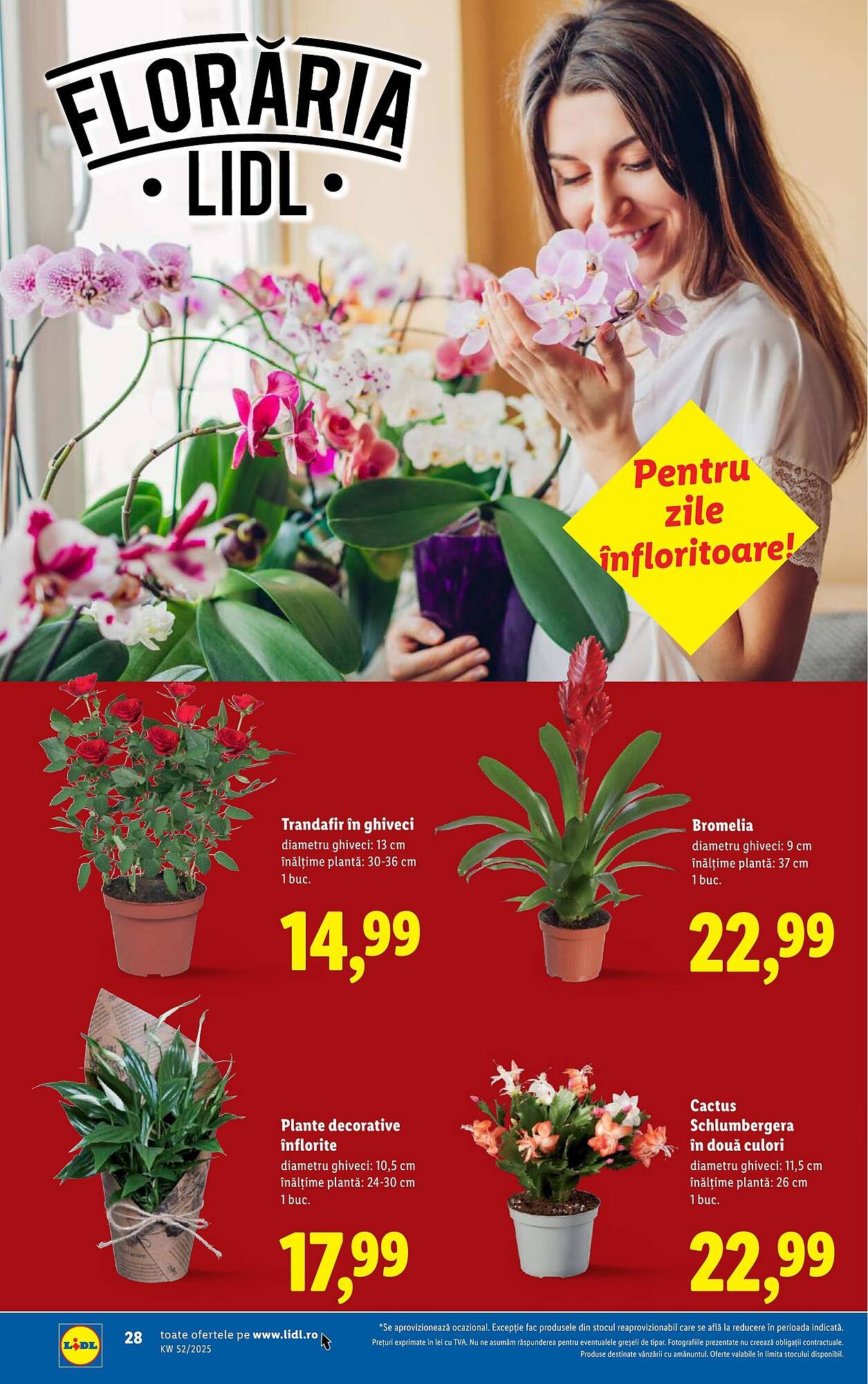 Catalog Lidl