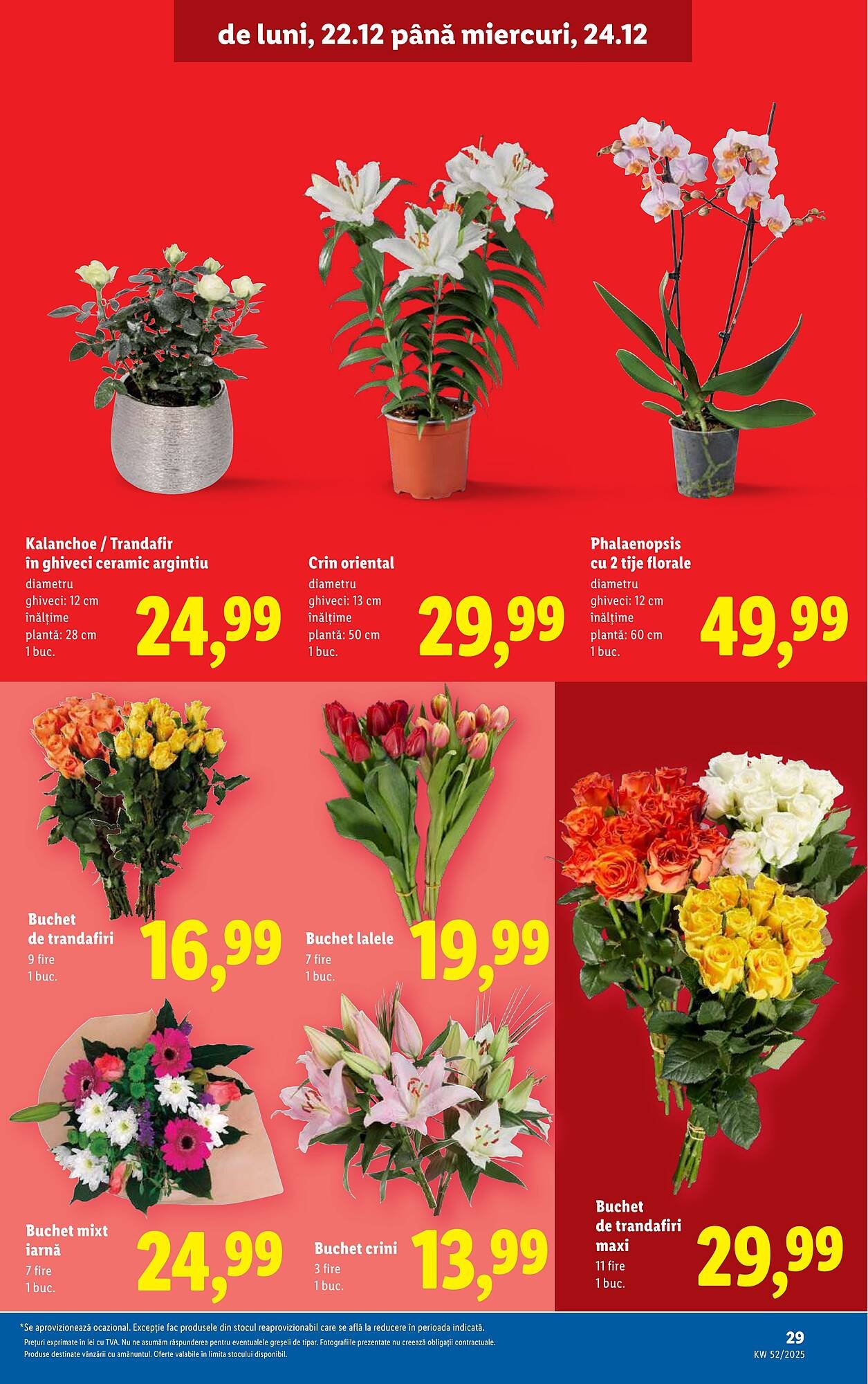Catalog Lidl