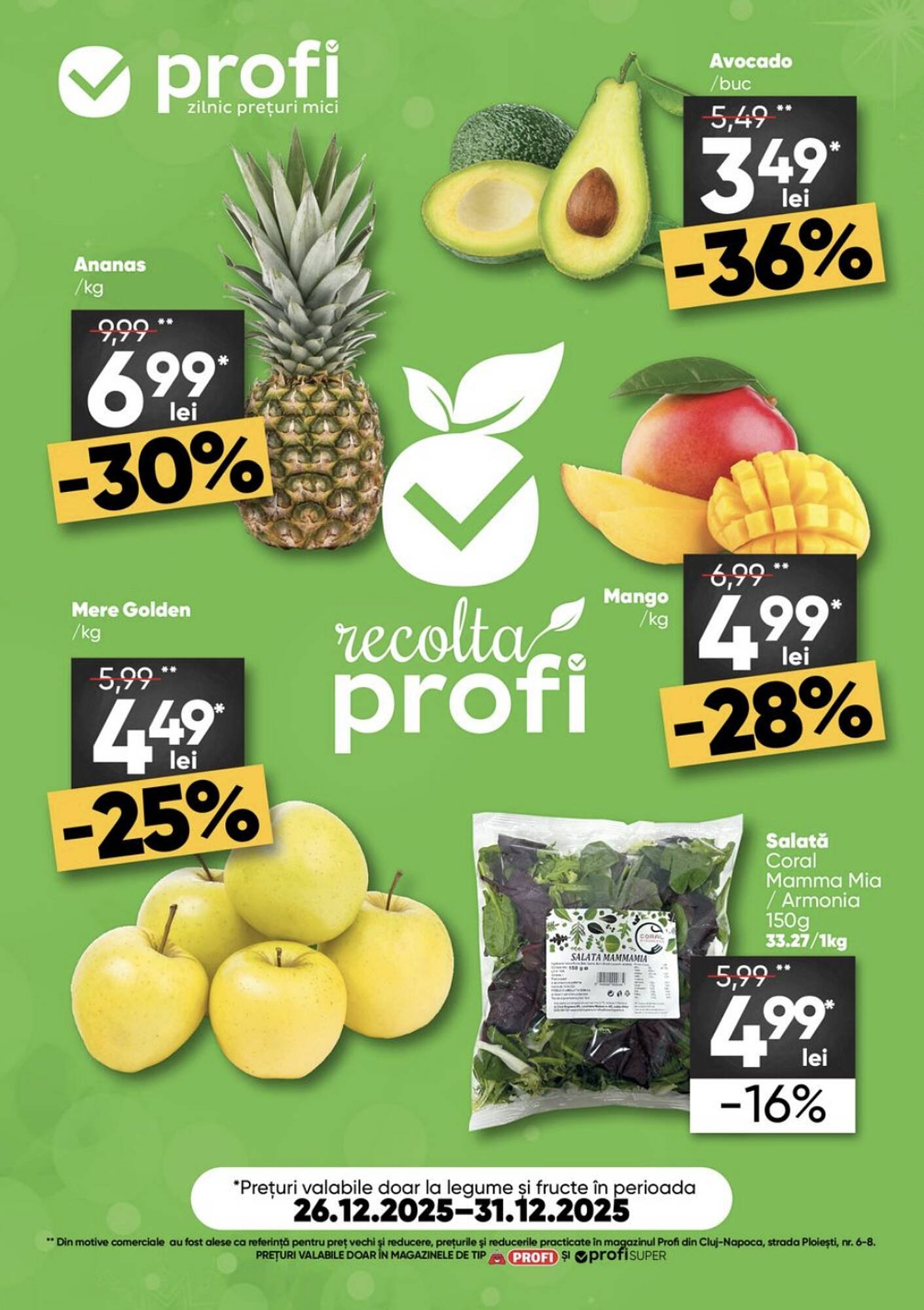 Catalog PROFI
