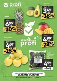 Catalog PROFI