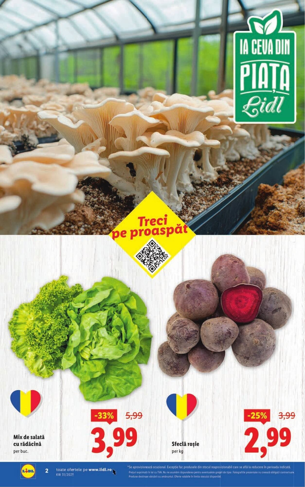 Catalog Lidl