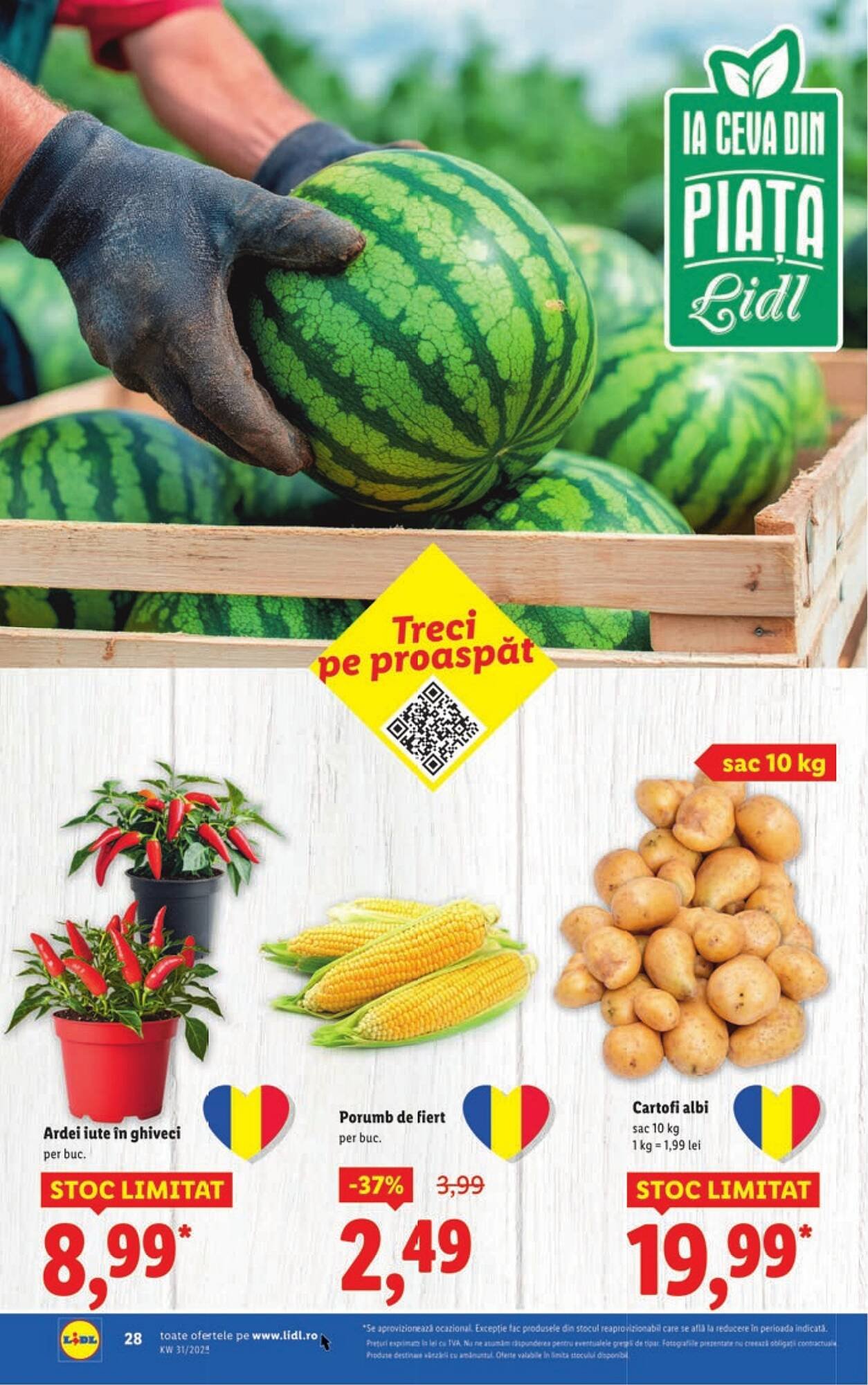 Catalog Lidl
