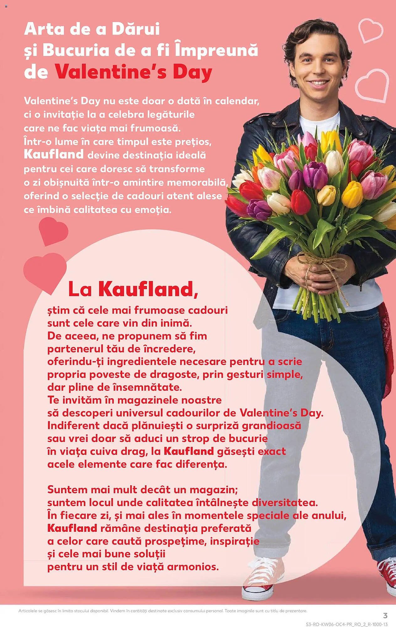 Catalog Kaufland
