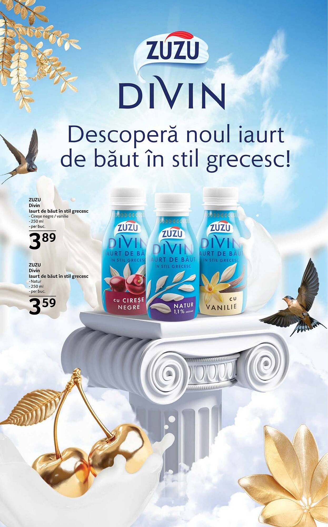 Catalog Selgros