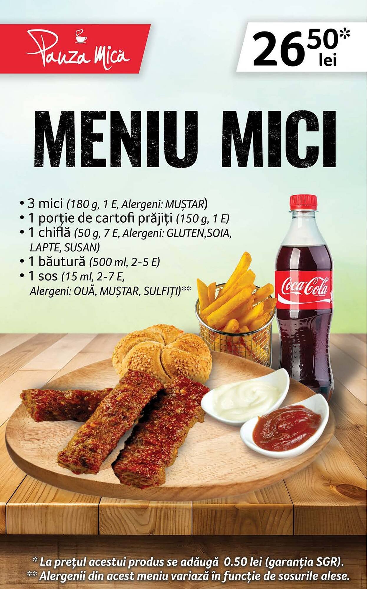 Catalog Selgros
