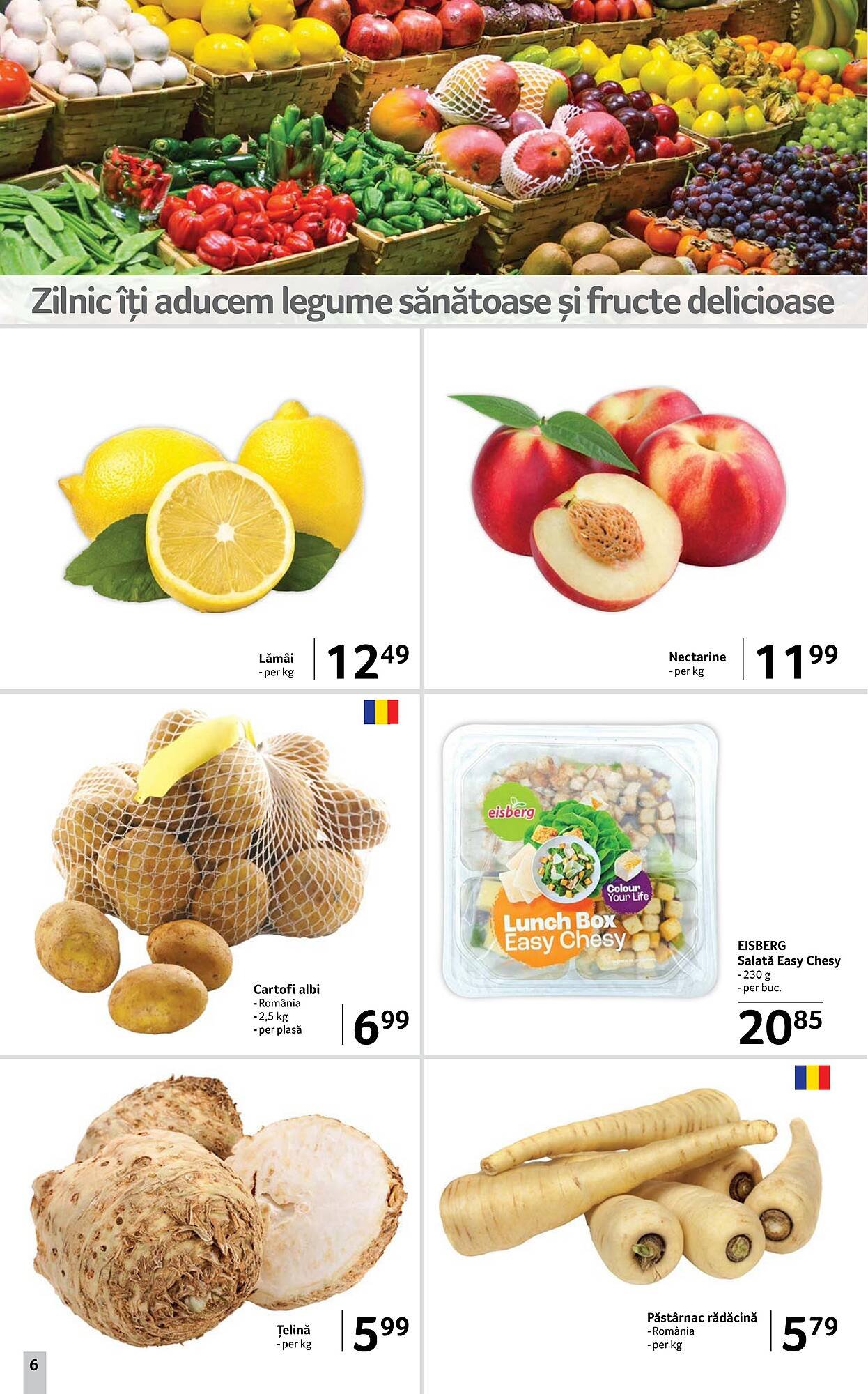 Catalog Selgros