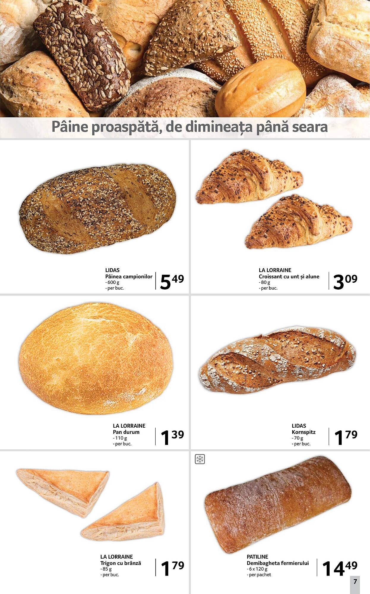 Catalog Selgros