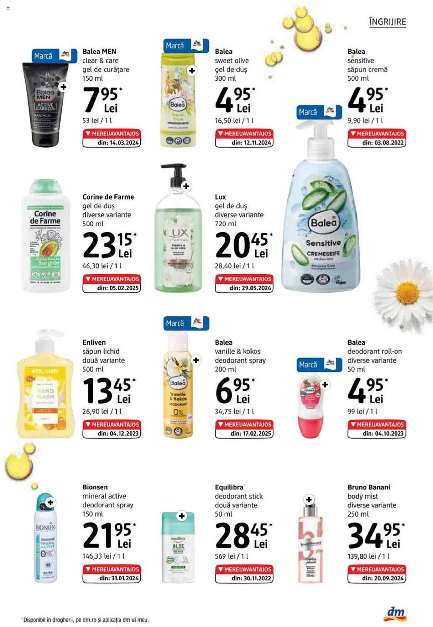 Catalog DM