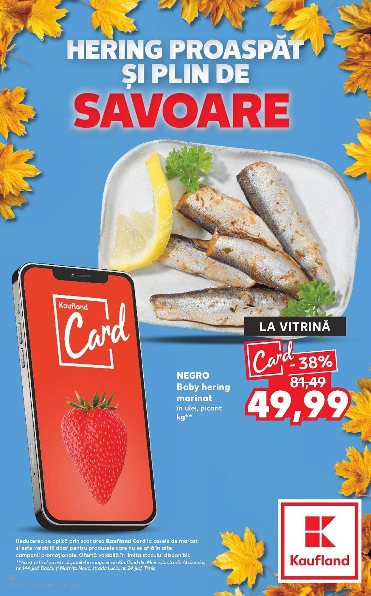 Catalog Kaufland