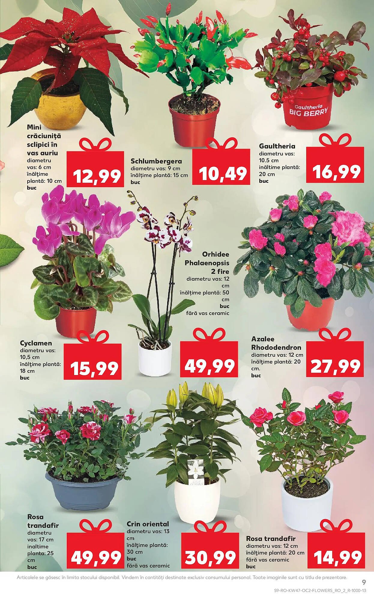 Catalog Kaufland