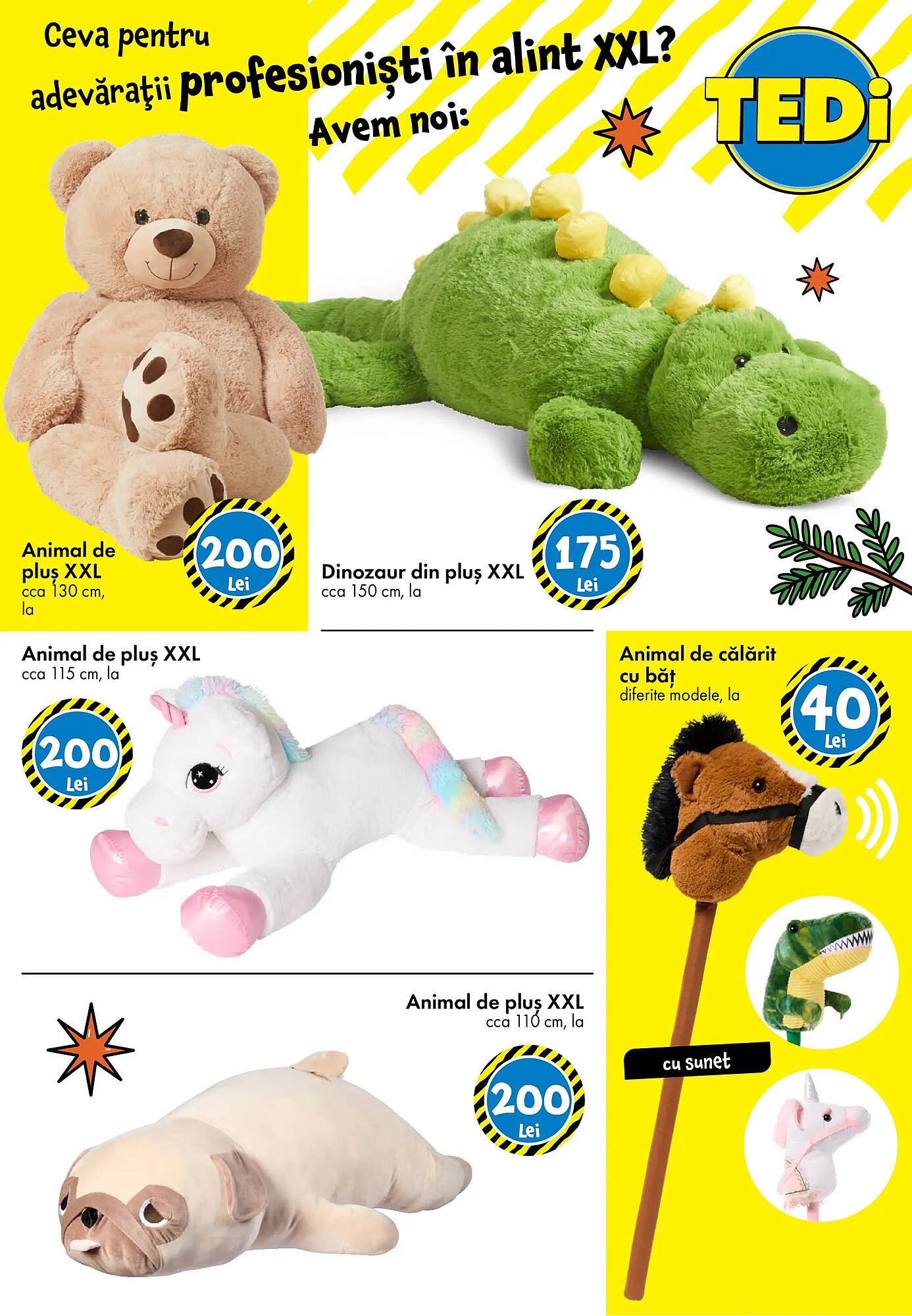 Catalog TEDI