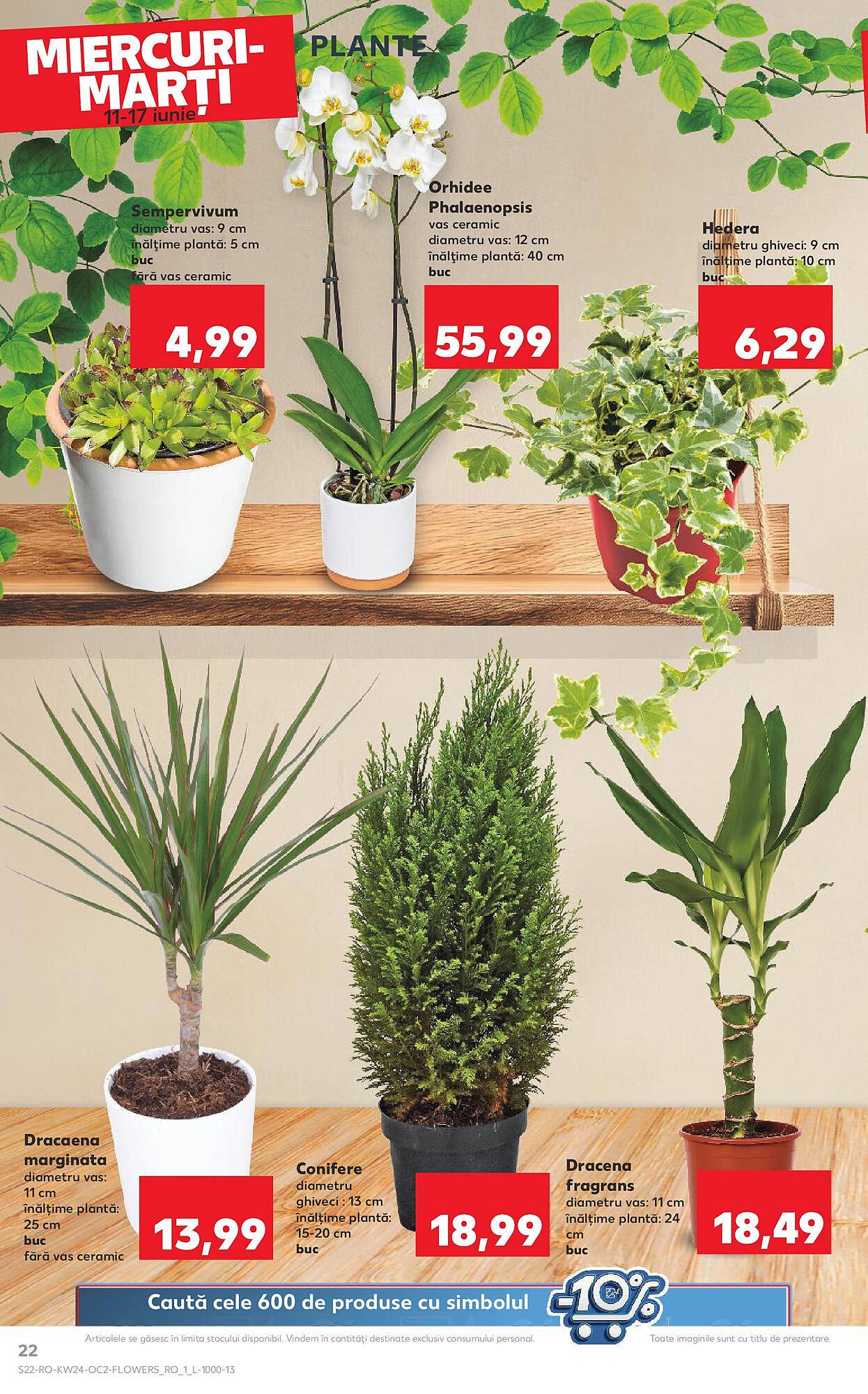 Catalog Kaufland