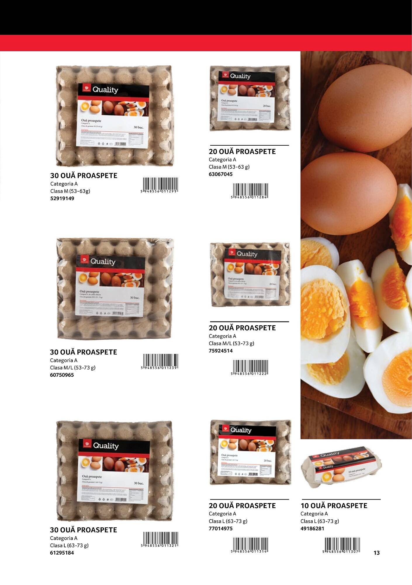 Catalog Selgros