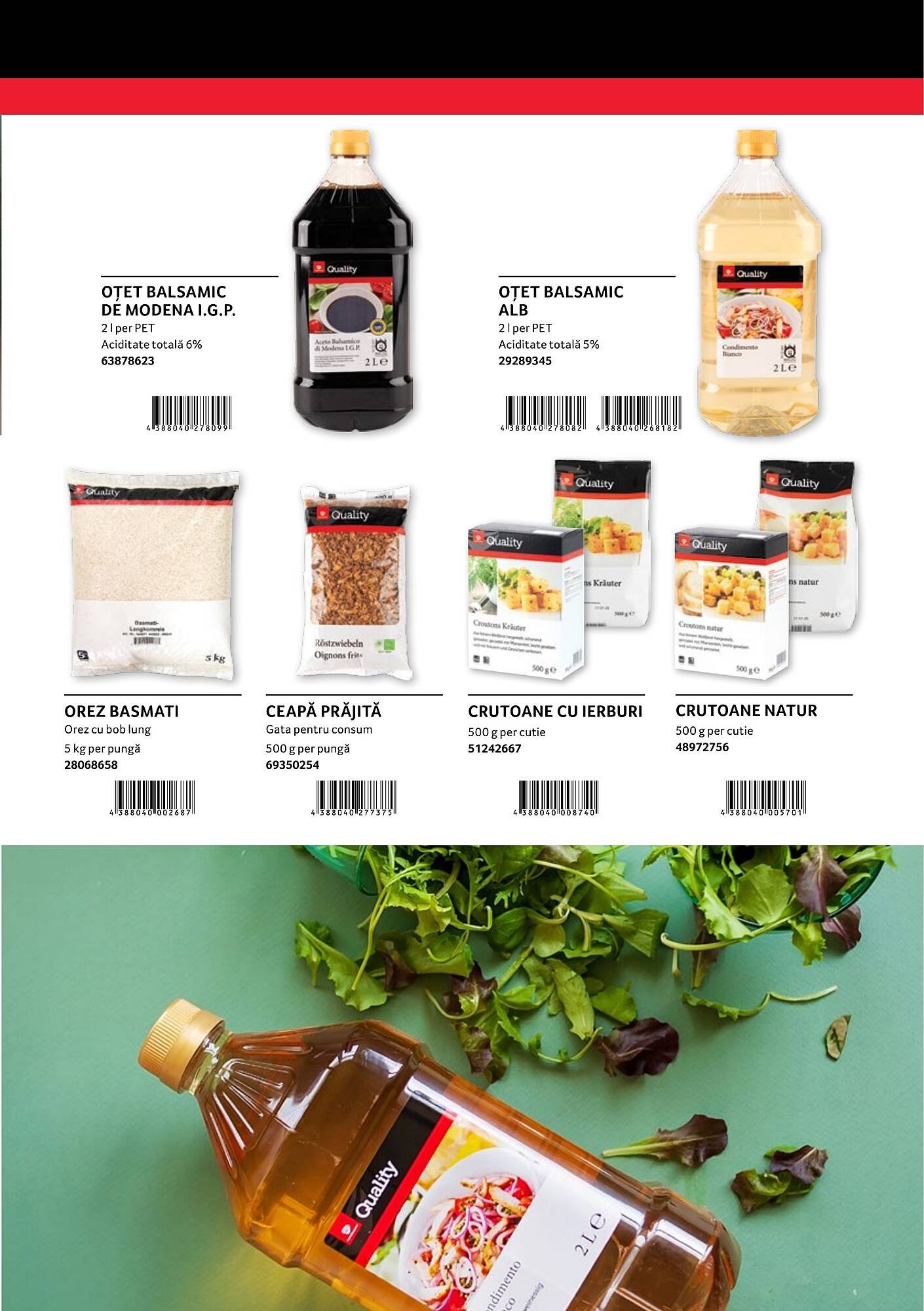 Catalog Selgros