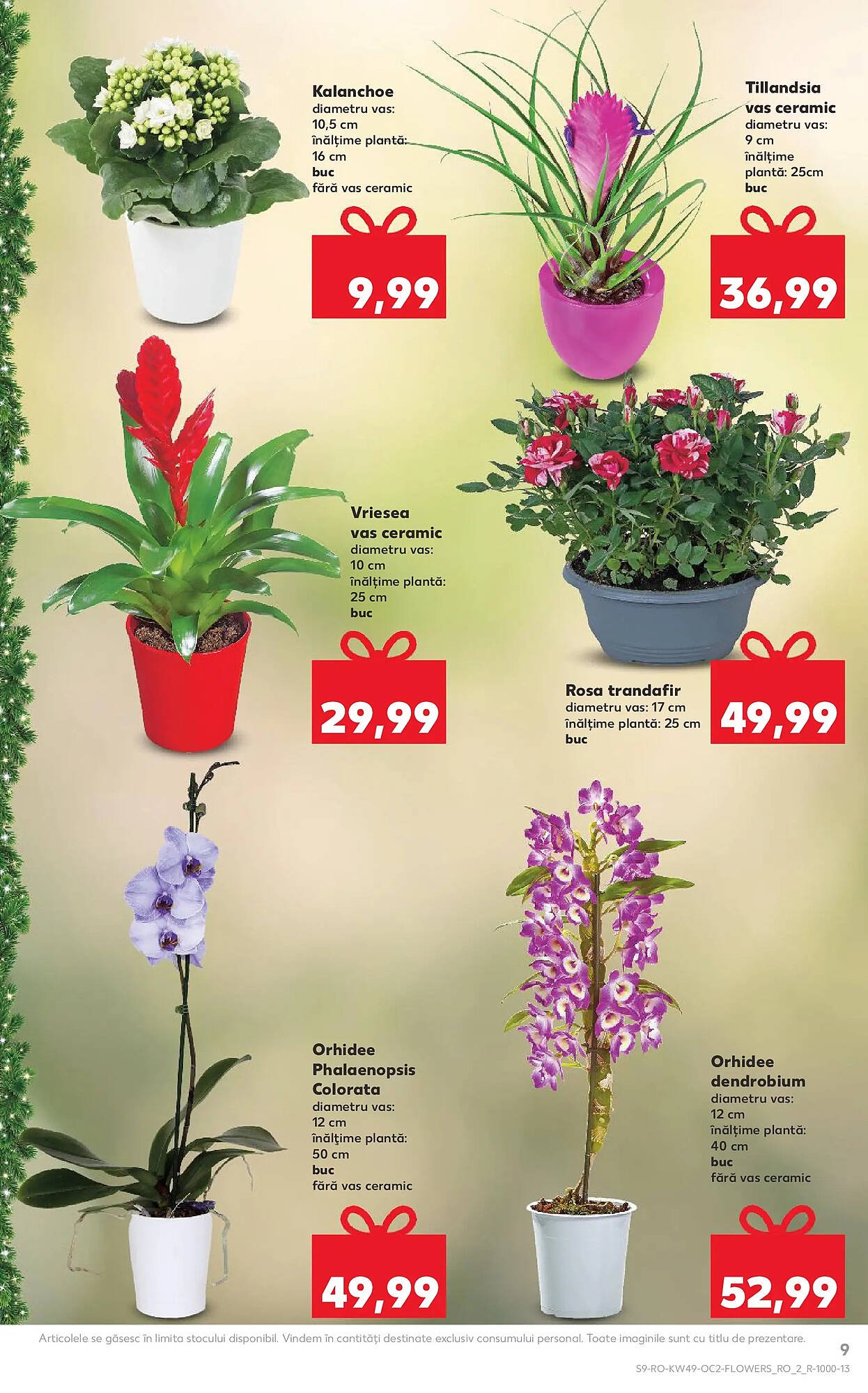 Catalog Kaufland