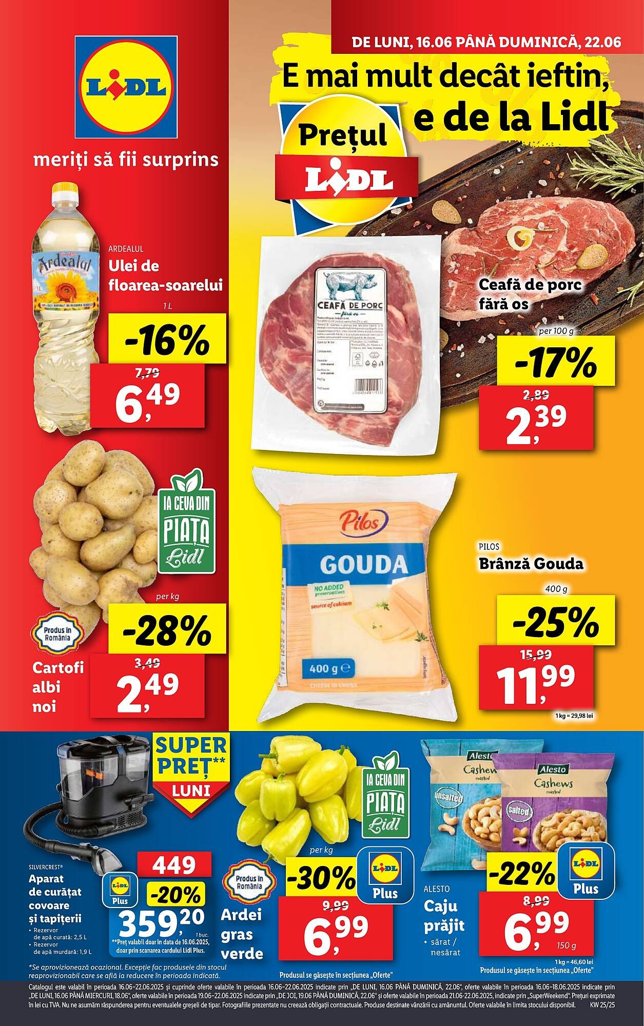 Catalog Lidl