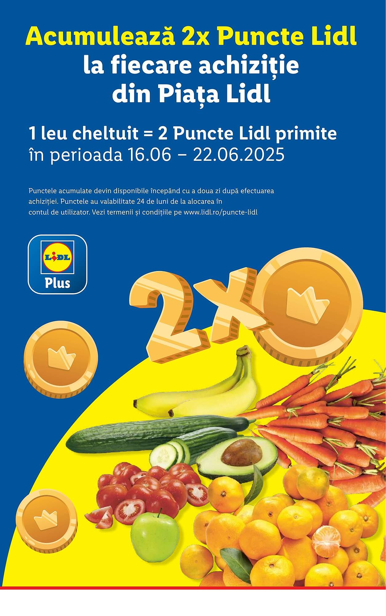 Catalog Lidl