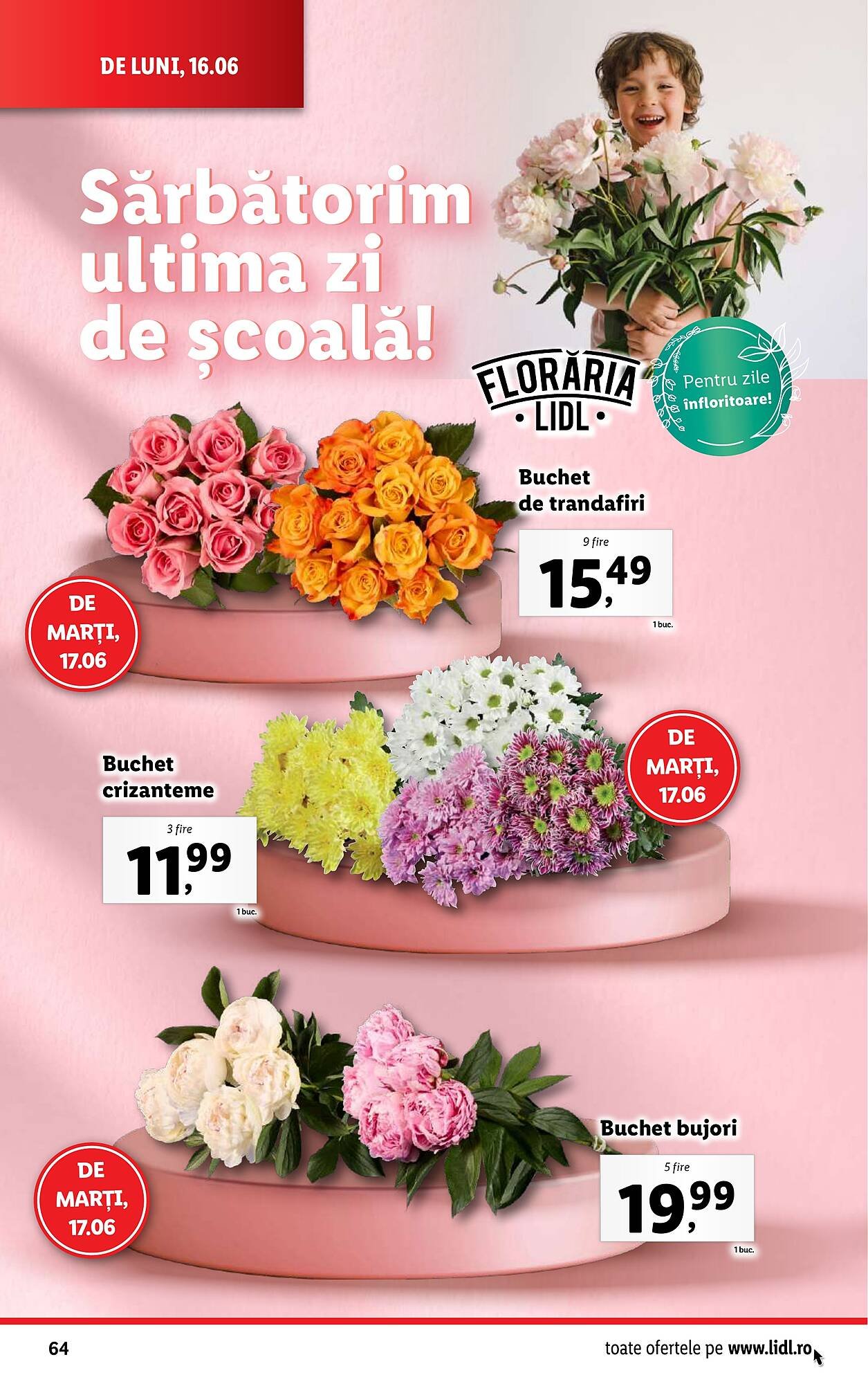 Catalog Lidl